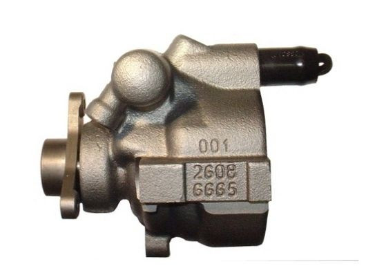 Hidraulinis siurblys, vairo sistema SPIDAN 53948