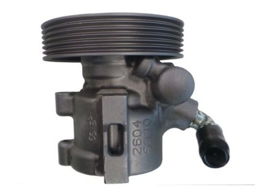 Hidraulinis siurblys, vairo sistema SPIDAN 53961