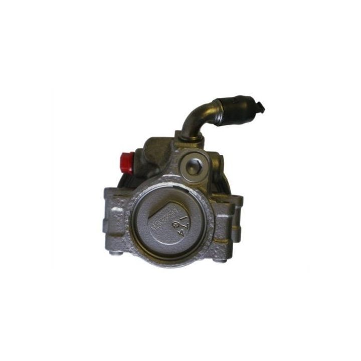 Hidraulinis siurblys, vairo sistema SPIDAN 54384