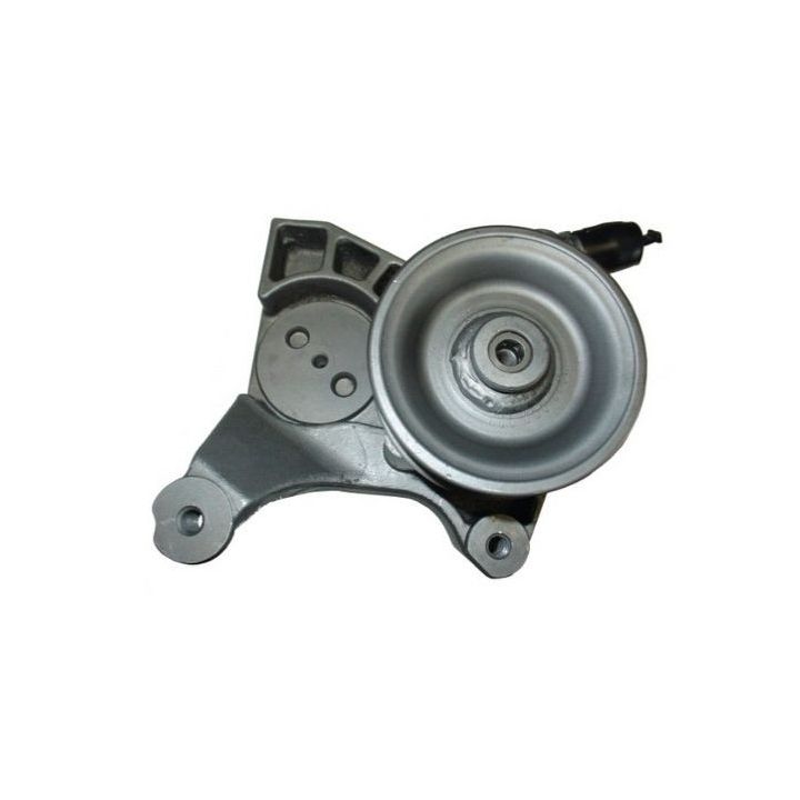 Hidraulinis siurblys, vairo sistema SPIDAN 54448