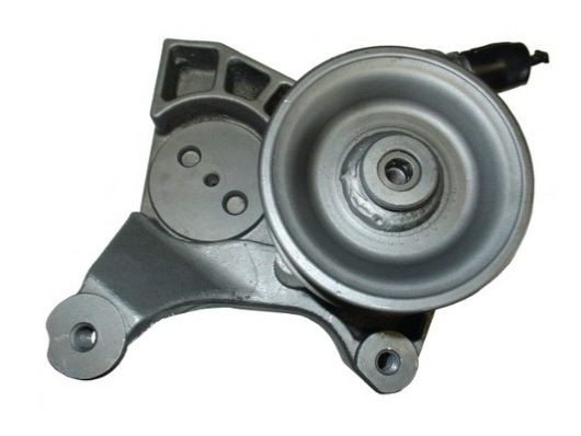 Hidraulinis siurblys, vairo sistema SPIDAN 54448