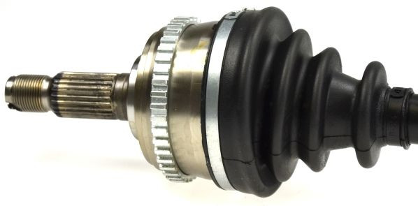 Pusašis SPIDAN 24173