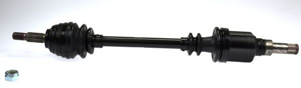 Pusašis SPIDAN 24528