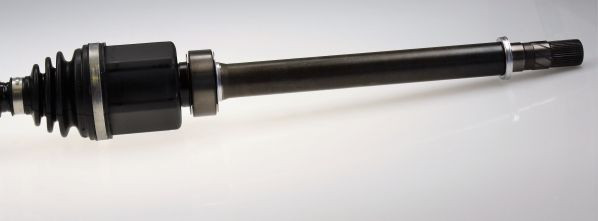 Pusašis SPIDAN 36155