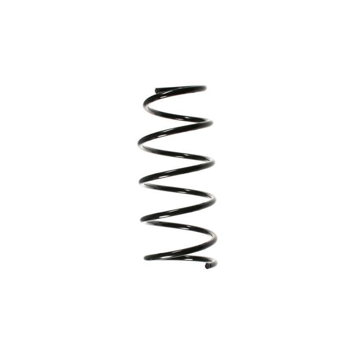 Spyruoklė SPIDAN 48529