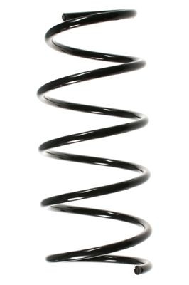 Spyruoklė SPIDAN 48529