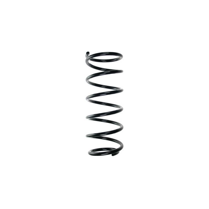 Spyruoklė SPIDAN 48905