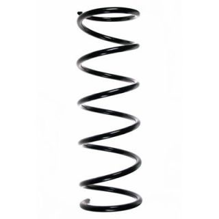 Spyruoklė SPIDAN 48962