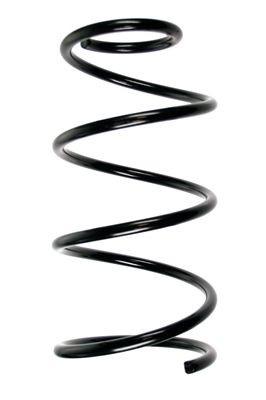 Spyruoklė SPIDAN 48966