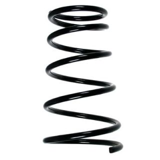 Spyruoklė SPIDAN 48975