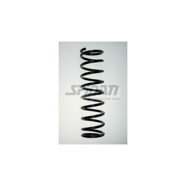 Spyruoklė SPIDAN 49054