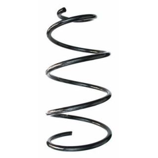 Spyruoklė SPIDAN 49187