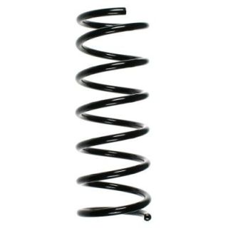 Spyruoklė SPIDAN 49188