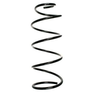 Spyruoklė SPIDAN 49353