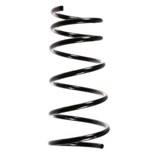 Spyruoklė SPIDAN 49445