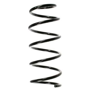 Spyruoklė SPIDAN 49516