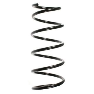 Spyruoklė SPIDAN 49517