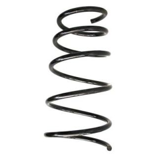 Spyruoklė SPIDAN 49602