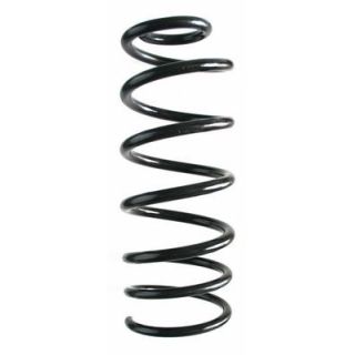 Spyruoklė SPIDAN 49603