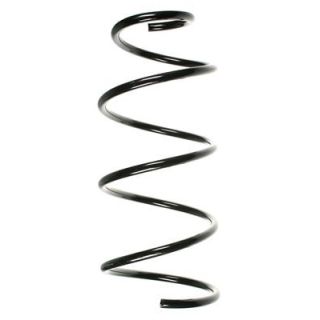 Spyruoklė SPIDAN 49612