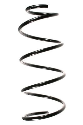 Spyruoklė SPIDAN 49613