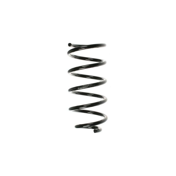 Spyruoklė SPIDAN 49617