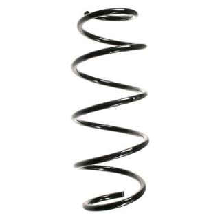 Spyruoklė SPIDAN 49620