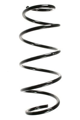 Spyruoklė SPIDAN 49620