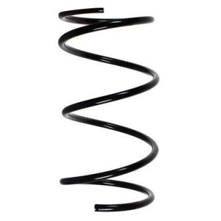 Spyruoklė SPIDAN 49681