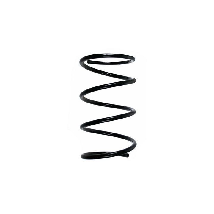 Spyruoklė SPIDAN 49688