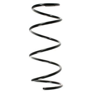 Spyruoklė SPIDAN 49791