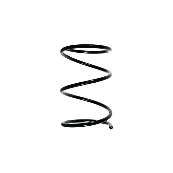 Spyruoklė SPIDAN 55014