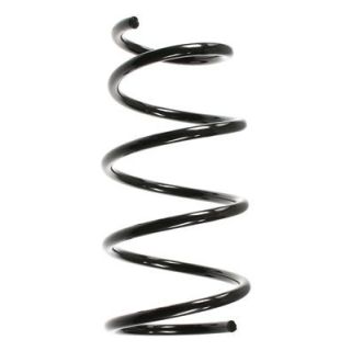 Spyruoklė SPIDAN 55071