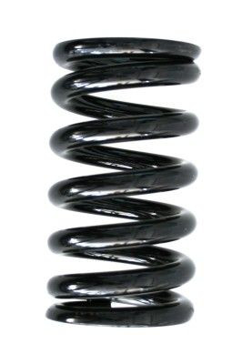 Spyruoklė SPIDAN 55131