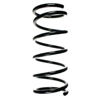 Spyruoklė SPIDAN 55179