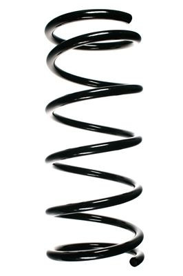 Spyruoklė SPIDAN 55179