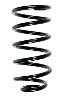 Spyruoklė SPIDAN 55223