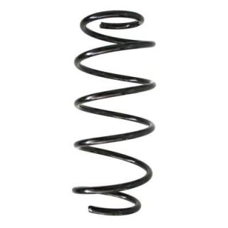 Spyruoklė SPIDAN 55259