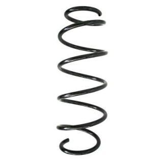 Spyruoklė SPIDAN 55276