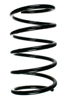 Spyruoklė SPIDAN 55493