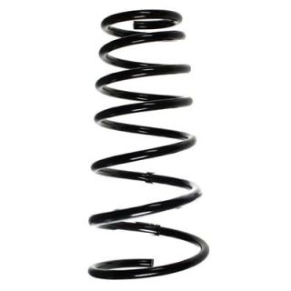 Spyruoklė SPIDAN 55495