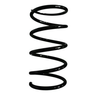 Spyruoklė SPIDAN 55498