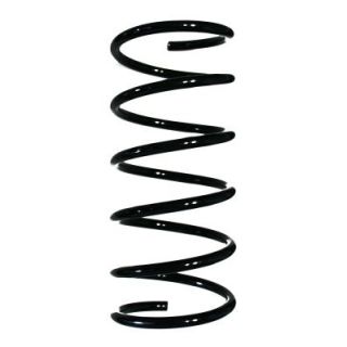 Spyruoklė SPIDAN 55502