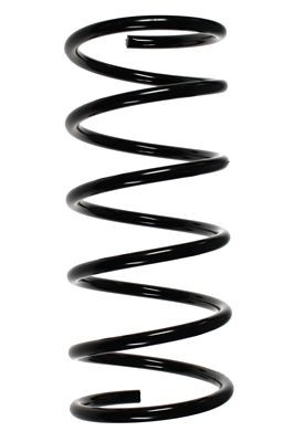 Spyruoklė SPIDAN 55504