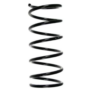 Spyruoklė SPIDAN 55505