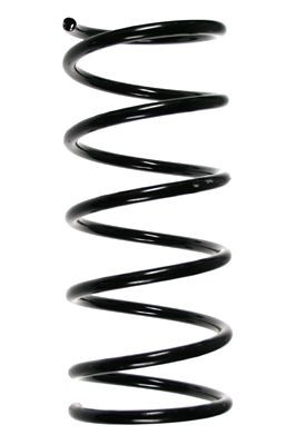 Spyruoklė SPIDAN 55505