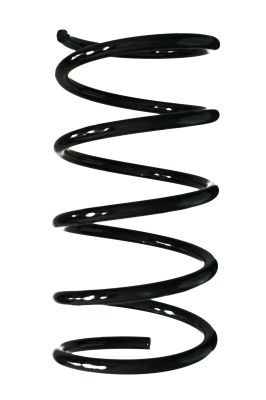 Spyruoklė SPIDAN 55513