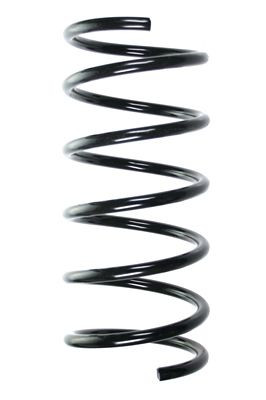 Spyruoklė SPIDAN 55519