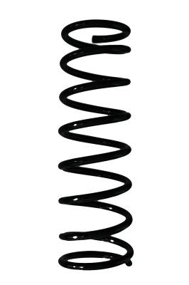 Spyruoklė SPIDAN 55531