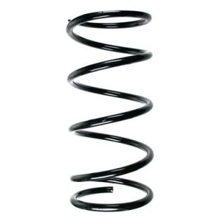 Spyruoklė SPIDAN 55535